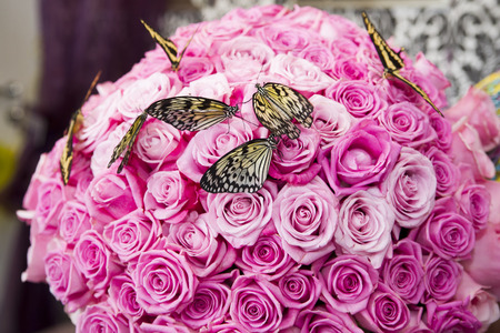 Bouquet of pink roses with live butterflies closeupの写真素材