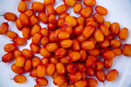 Frozen seabuckthorn on a white plateの写真素材