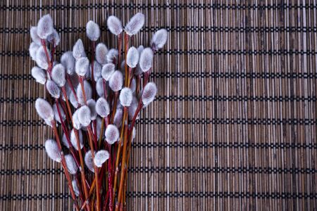 Willow branches on a wooden background. Happy Easter.の写真素材