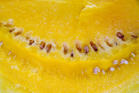 Yellow watermelon close-upの写真素材