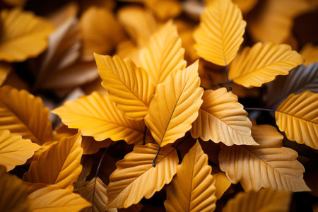 Colorful autumn leaves background, beautiful fall nature wallpaper with yellow and orange leaves, AI Generated illustrationの素材