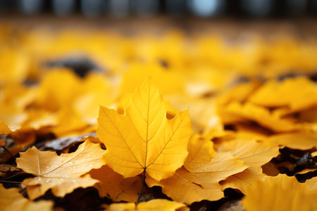Colorful autumn maple leaves background, beautiful fall nature wallpaper with yellow and orange leaves, AI Generated illustrationの素材