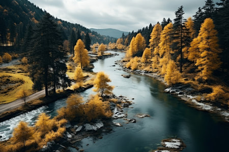 Autumn forest landscape, orange golden foliage, fall wallpaper, AI Generated illustrationの素材