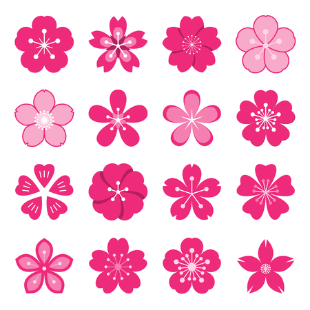 Sakura icons. Collection of 16 colored Ume Japanese cherry blossom symbols isolated on a white background. Vector illustrationのイラスト素材