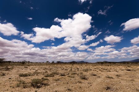 Kenyan landscapeの写真素材
