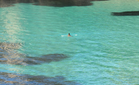 solitary swim