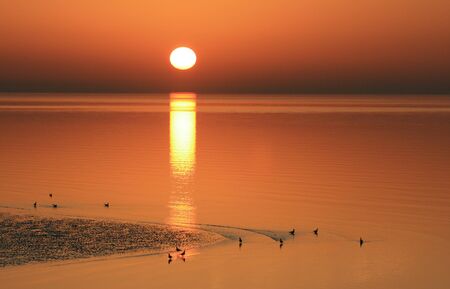 sunset 2の写真素材