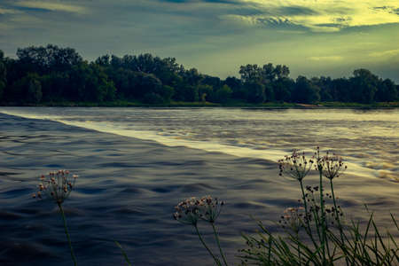 Long exposure image of Narew River in DÄbe Polandの写真素材
