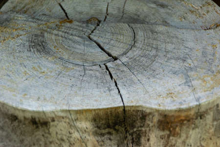 Wooden boardson on the facade of the building as a textureの写真素材