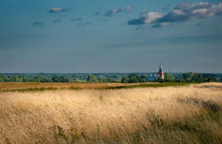 Landscape withe the church and golden fieldsの写真素材