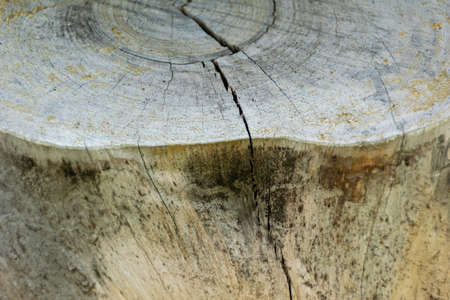 Wooden boardson on the facade of the building as a textureの写真素材