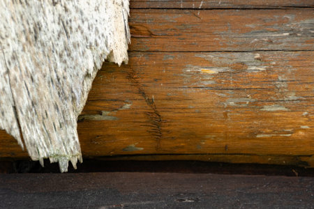 Wooden boardson on the facade of the building as a textureの写真素材