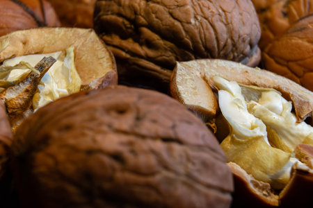 Brown Italian nuts healthy eating