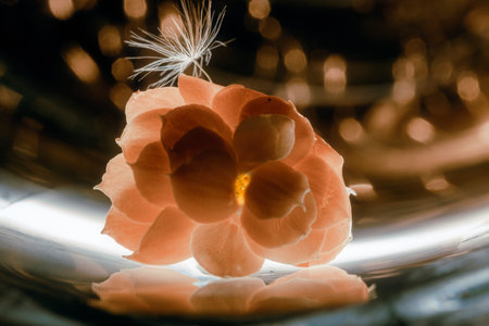A floral and plant composition
