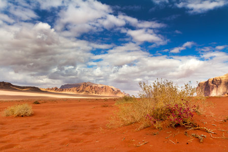 Wadi Rum desert landscape,Jordanの写真素材