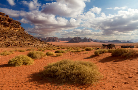 Wadi Rum desert landscape,Jordanの写真素材