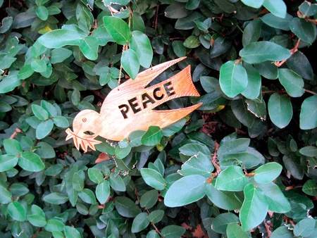 Peace dove ornament hanging in green ivyの写真素材