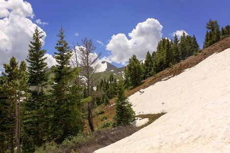 Rocky Mountain slope near Breckenridge, Coloradoの写真素材