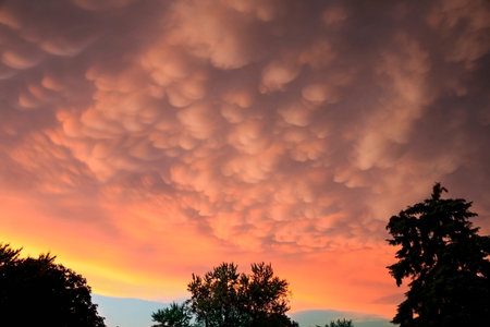 Mammatus clouds at the edge of a strong thunderstorm at sunsetの写真素材