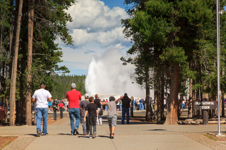 Enthusiastic tourists rush to view the Old Faithful Geyser as it erupts in Midway Geyser Basin, Yellowstone National Parkの写真素材