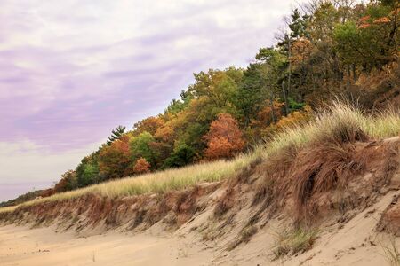 Sand dune on Lake Michigan at Indiana Dunes State Park in the fallの写真素材