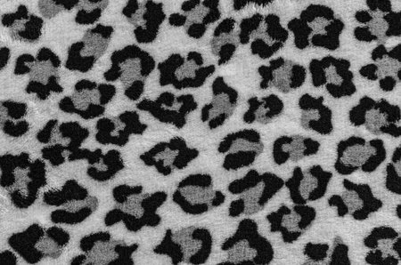 Leopard skin texture. Animal print pattern. Black and white background.