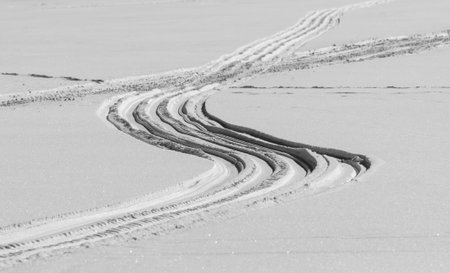 Snowmobile tracks in the snow. Toned.