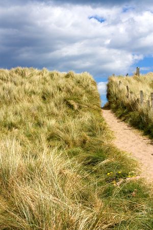 Sand dunes and grass Cresswell beach Northumberland North East Englandの写真素材