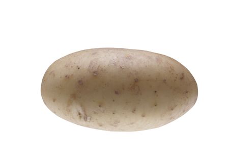 Single Washed White Potato isolated against white backgroundの写真素材