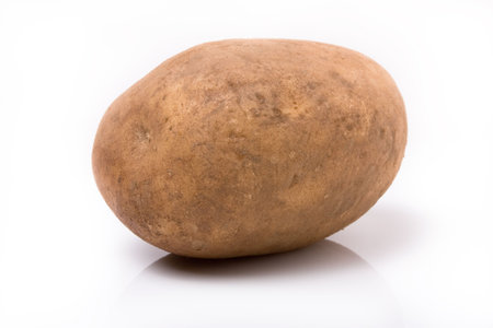 Large unwashed natural potato from low viewpoint aganst white background.の写真素材