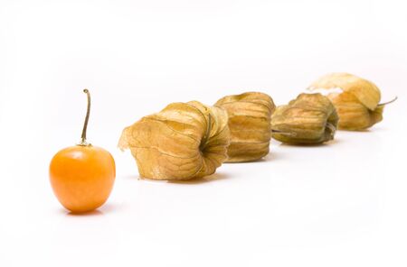 Abstract Group of Physalis also known as chinese lantern isolated against white background.の写真素材