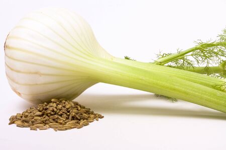 Close up of Single Fennel bulb and Fennel seeds against white background.の写真素材