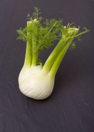 Single Fennel bulb on background of dark slate.の写真素材