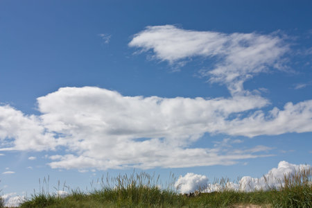 Sky background of vivid blue sky and white fluffy clouds.の写真素材