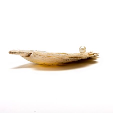 Pearl resting on open oyster shell to depict wealth concept isolated against white.の写真素材