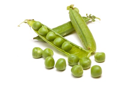 Fresh Pea Pods from low perspective isolated against white background.の写真素材