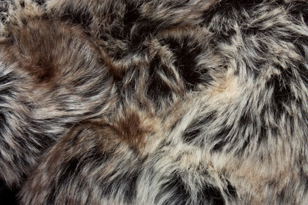 Background or texture image of close up of fur.