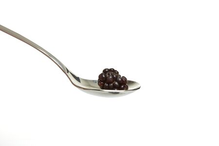 Single Wild hedgerow blackberry isolated on silver spoon.の写真素材