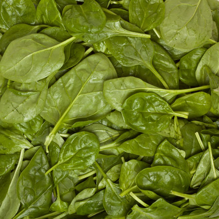 Background image of fresh vibrant succulent spinach.