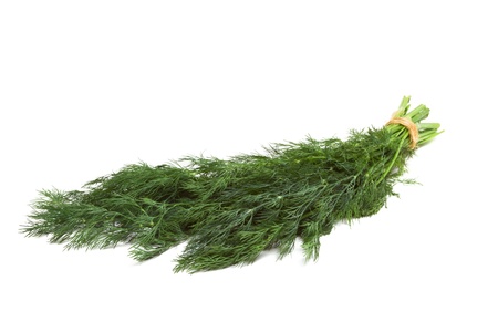 Bunch of Dill from low perspective isolated on white background.の写真素材