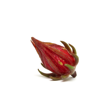 Rosella Bud from the Hibiscus family used in asian cooking to make pickles isolated on white.の写真素材