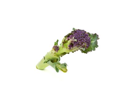 Abstract Purple Sprouting Broccoli from low perspective isolated on white.の写真素材