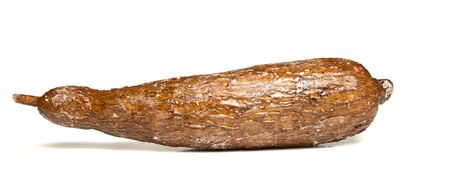 Casava root isolated on white from low perpective.の写真素材