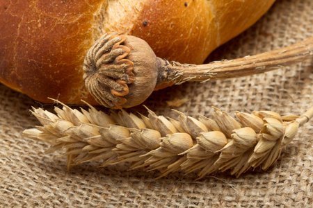 Dried cereal ear and poppy stem with rustic bread concept.の写真素材