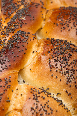 Close up of crusty rustic poppy seeded bread loaf.の写真素材