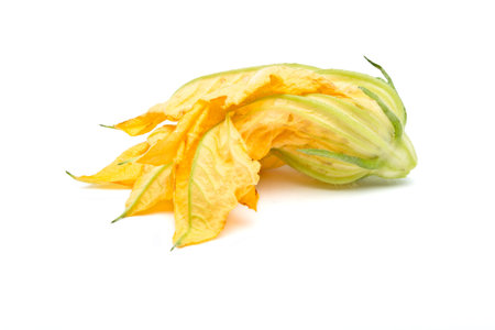 Single Courgette bloom from low perspective isolated on white.の写真素材
