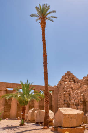 Karnak temple complex and Karnak Open Air Museum (built about 1250 BC) in Luxor, Egyptのeditorial素材