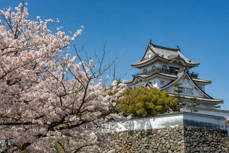 Kishiwada castle (Chikiri Castle) with cherry blossoms in Kishiwada city, Osaka Prefecture, Japanのeditorial素材