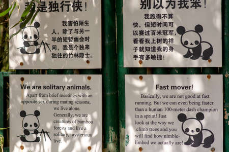Beijing / China - April 10, 2016: Visitor information about Giant panda behavior in English and simplified Chinese text, Beijing Zoo Panda House in Beijing, Chinaのeditorial素材