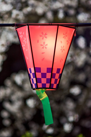 Decorative electric lanterns hung in Osaka castle park for night viewing of Sakura, yozakura, during cherry blossom season in Osaka, Japanの写真素材